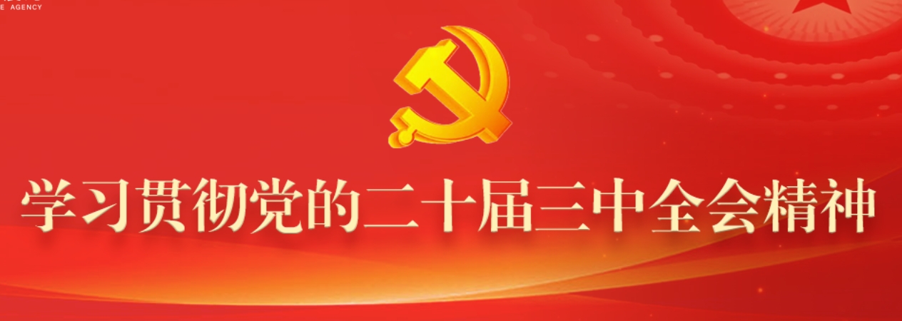 学习贯彻党的二十届三中全会精神专题