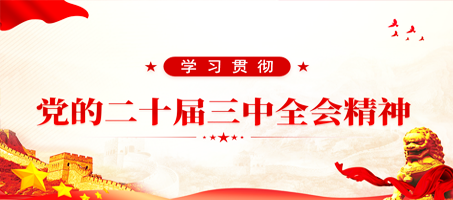 学习宣传贯彻党的二十届三中全会精神专栏