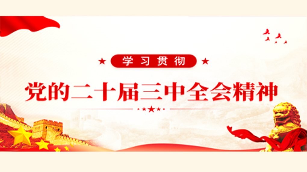 学习宣传贯彻党的二十届三中全会精神专栏